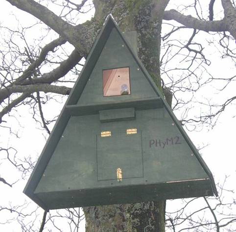 Barn owl nest box on tree